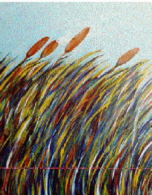 14a- «Como canas agitadas pelo vento»