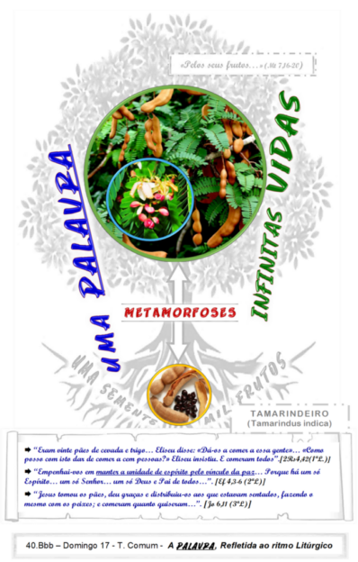 «Manter a unidade de espírito pelo vínculo da paz»